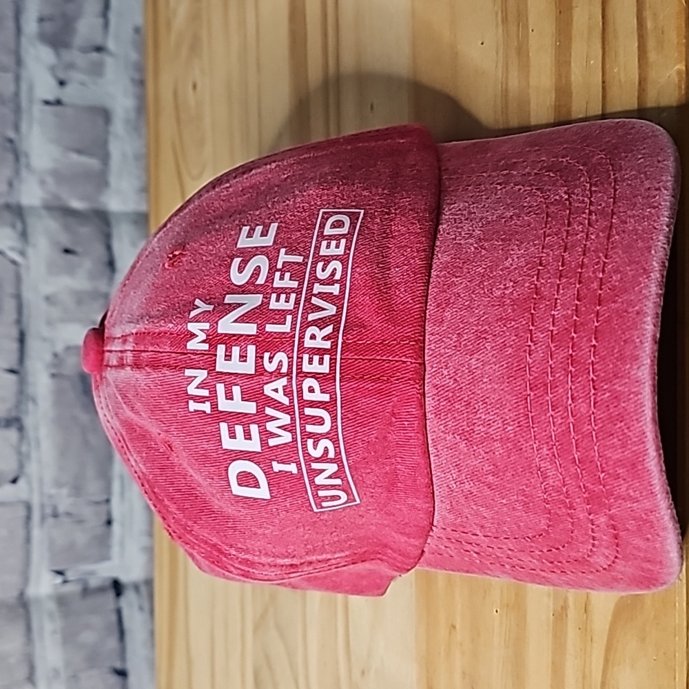 Fun Hat" IN MY DEFENSE I WAS LEFT UNSUPERVISED "